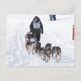 PIcture Perfect 2009 UP 200 Postcard