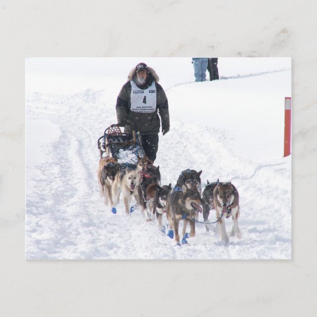 PIcture Perfect 2009 UP 200 Postcard (Front)