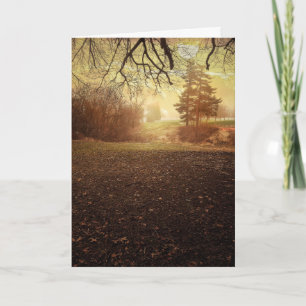 Picture Perfect Birthday Wishes Card