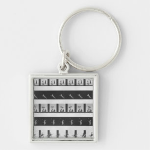 Picture strips for a praxinoscope key ring