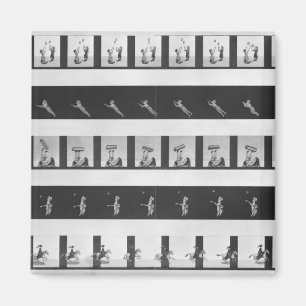 Picture strips for a praxinoscope magnet