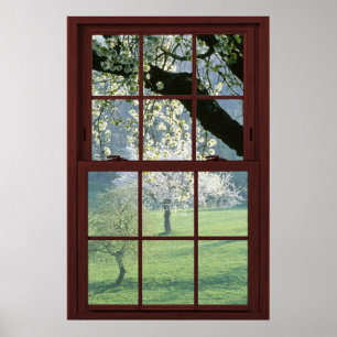 Picture Window Landscape - Cherry Blossoms. Poster