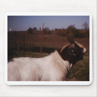 pictures024 mouse mat