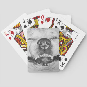pictures of funny cute akita smiling dog playing cards