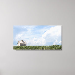 Pictures of Old Barns Series - Summer Corn Fields Canvas Print