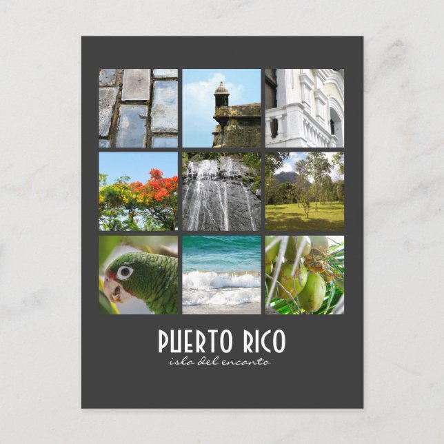 Pictures of Puerto Rico Postcard (Front)