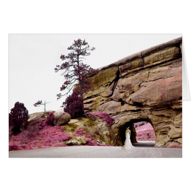 picturesque bride : elegant tunnel (Front Horizontal)