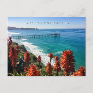 Picturesque La Jolla, California Postcard