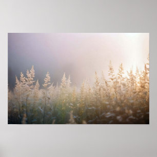 Picturesque Landscape Nature Close-up Background  Poster