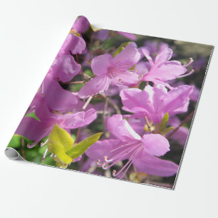 Picturesque Landscape Wrapping Paper