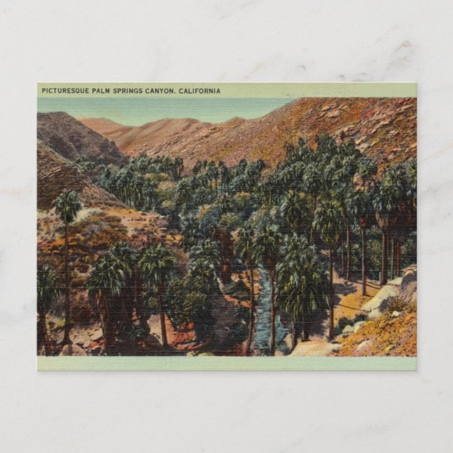 Picturesque Palm Springs Canyon, California Postcard (Front)