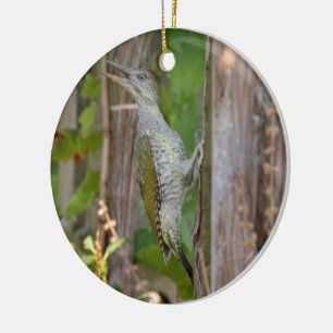 Picus Viridis - Grünspecht Ceramic Tree Decoration