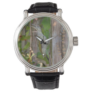 Picus Viridis - Grünspecht Watch