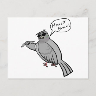 Pidgin Pigeon Postcard