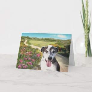 Pie in a Field of Dahlias (Dog on path blank card) Card