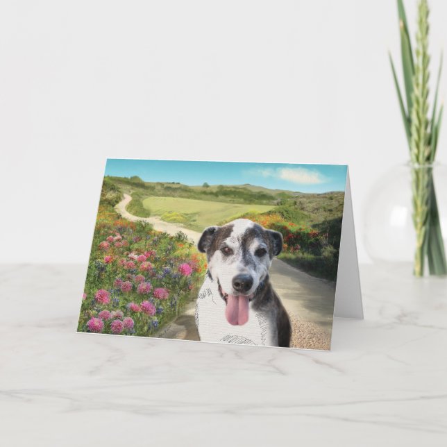 Pie in a Field of Dahlias (Dog on path blank card) Card (Front)
