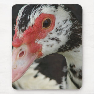 Pie says, "Hi!" Mouse Mat