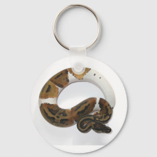 piebald  ball python keychain