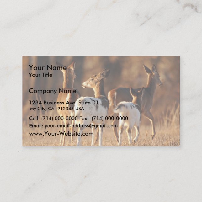 Piebald deer business card (Front)