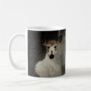 Piebald Deer Got Married Coffee Mug