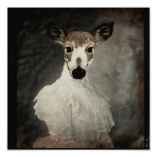 Piebald Deer In Dress Photo Print