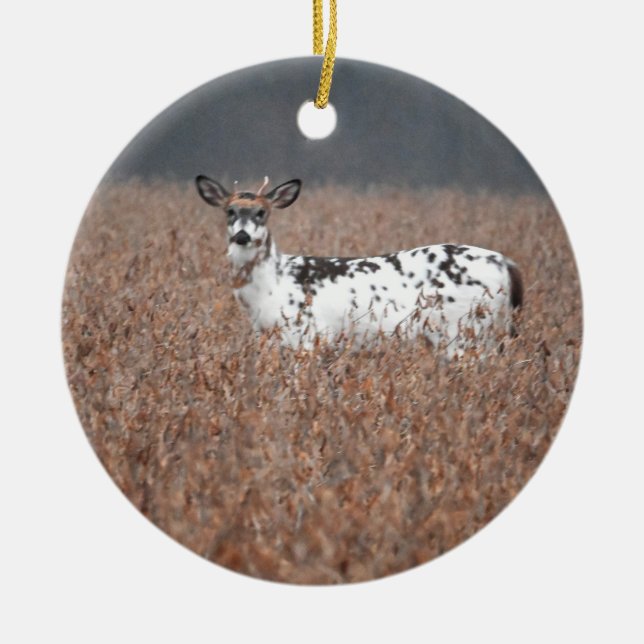 Piebald Deer Photo Ornament (Front)