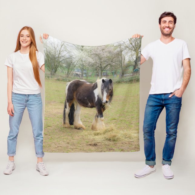 Piebald horse in the pasture fleece blanket (In Situ)