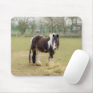 Piebald horse in the pasture mouse mat