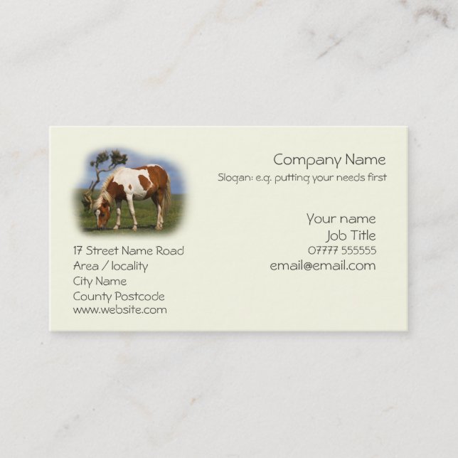 Piebald Pony quietly grazing Business Card (Front)