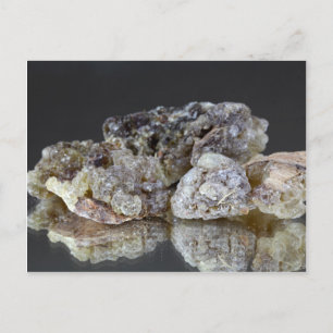 Pieces of natural frankincense resin on a mirror. postcard