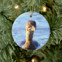 Pied-billed Grebe Bird Ornament