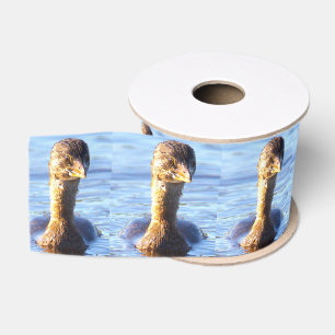 Pied-billed Grebe Bird Ribbon Grosgrain Ribbon