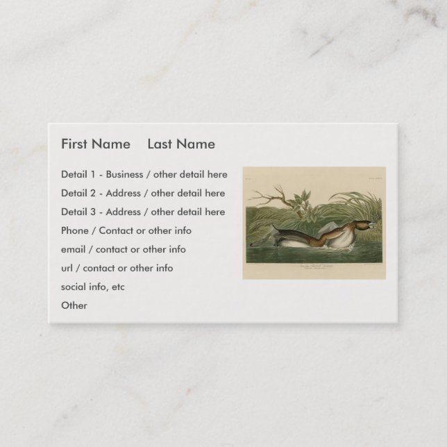 Pied-billed Grebe from Audubon's Birds of America Business Card (Front)