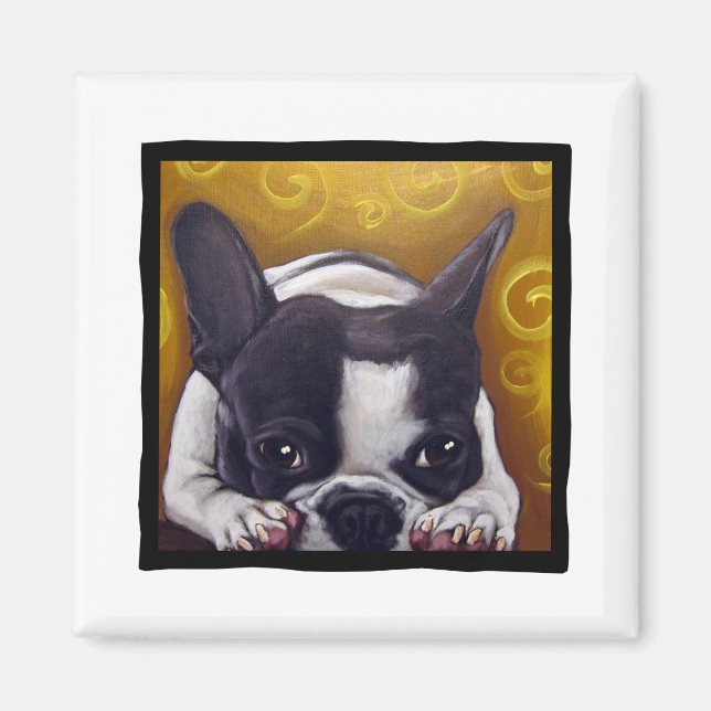 Pied Frenchie Nap Magnet (Front)