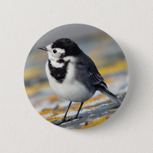 Pied Wagtail Badge