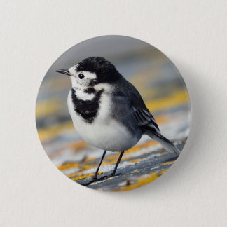 Pied Wagtail Badge