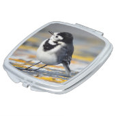 Pied Wagtail Compact Mirror (Turned)