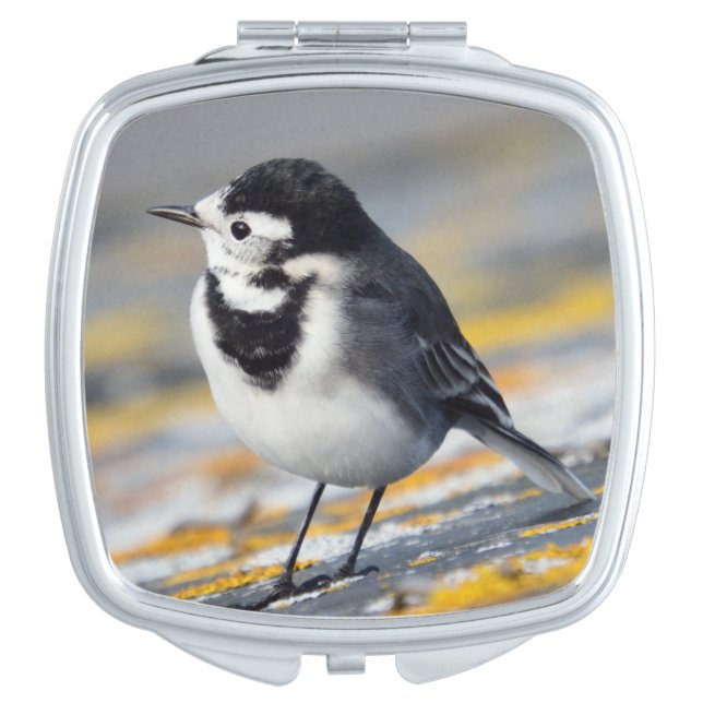 Pied Wagtail Compact Mirror (Front)