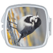 Pied Wagtail Compact Mirror (Side)