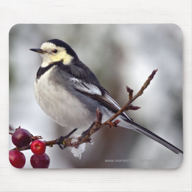 Pied Wagtail Mousemat (Front)