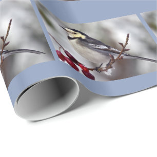 Pied Wagtail Wrapping Paper
