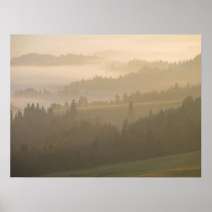 Pieniny fog poster