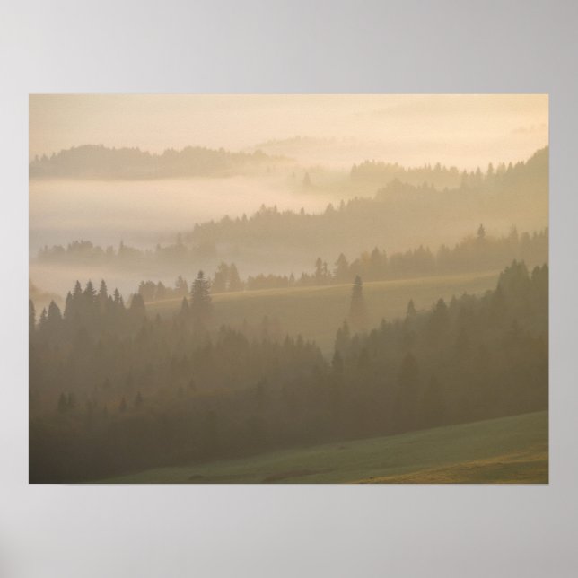 Pieniny fog poster (Front)