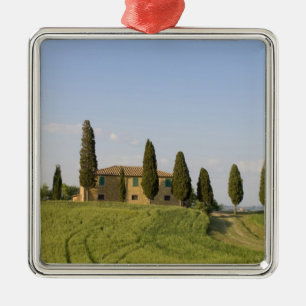 Pienza, Val d'Orcia, Siena province, Tuscany, Metal Tree Decoration