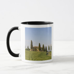 Pienza, Val d'Orcia, Siena province, Tuscany, Mug