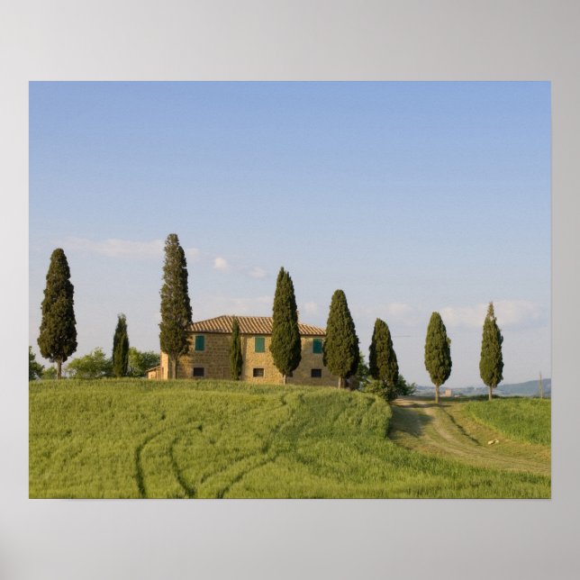 Pienza, Val d'Orcia, Siena province, Tuscany, Poster (Front)