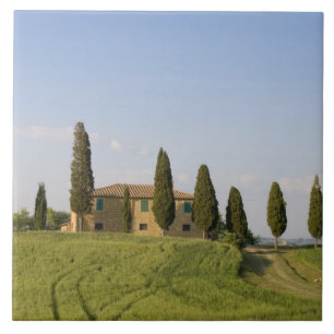 Pienza, Val d'Orcia, Siena province, Tuscany, Tile