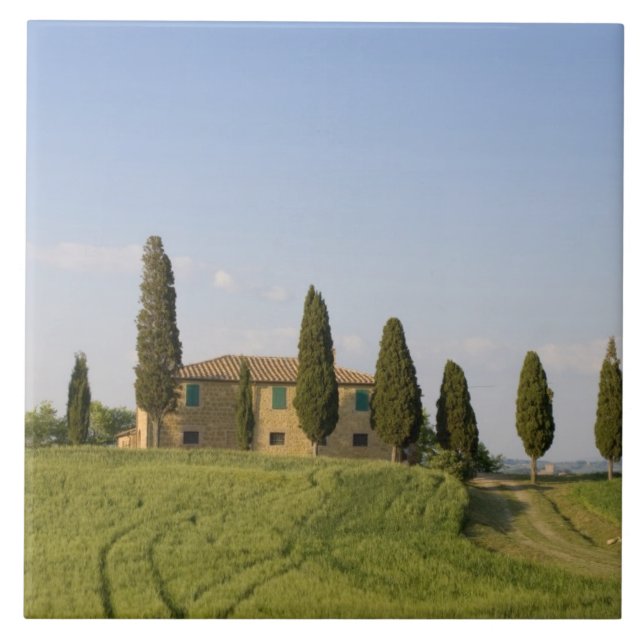 Pienza, Val d'Orcia, Siena province, Tuscany, Tile (Front)