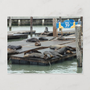Pier 39 postcard