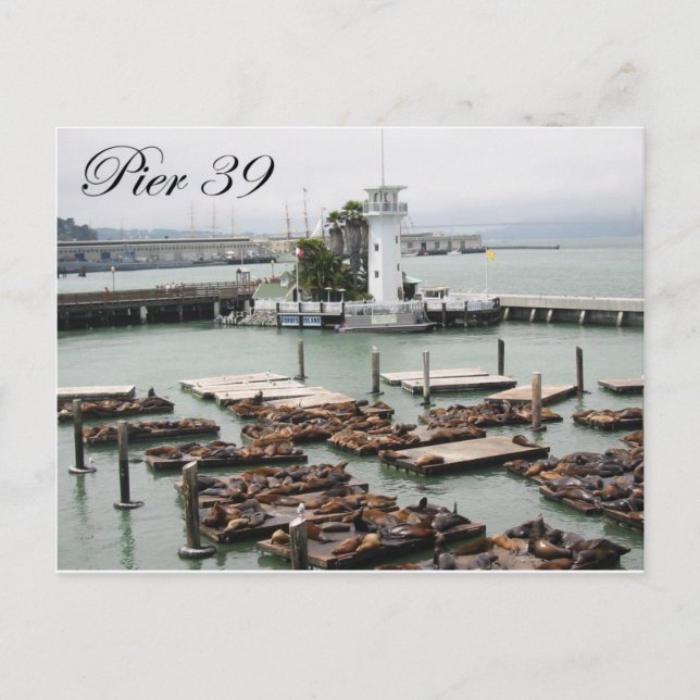 Pier 39 postcard (Front)